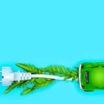 Green Business Practices: Merging Sustainability and Profitability