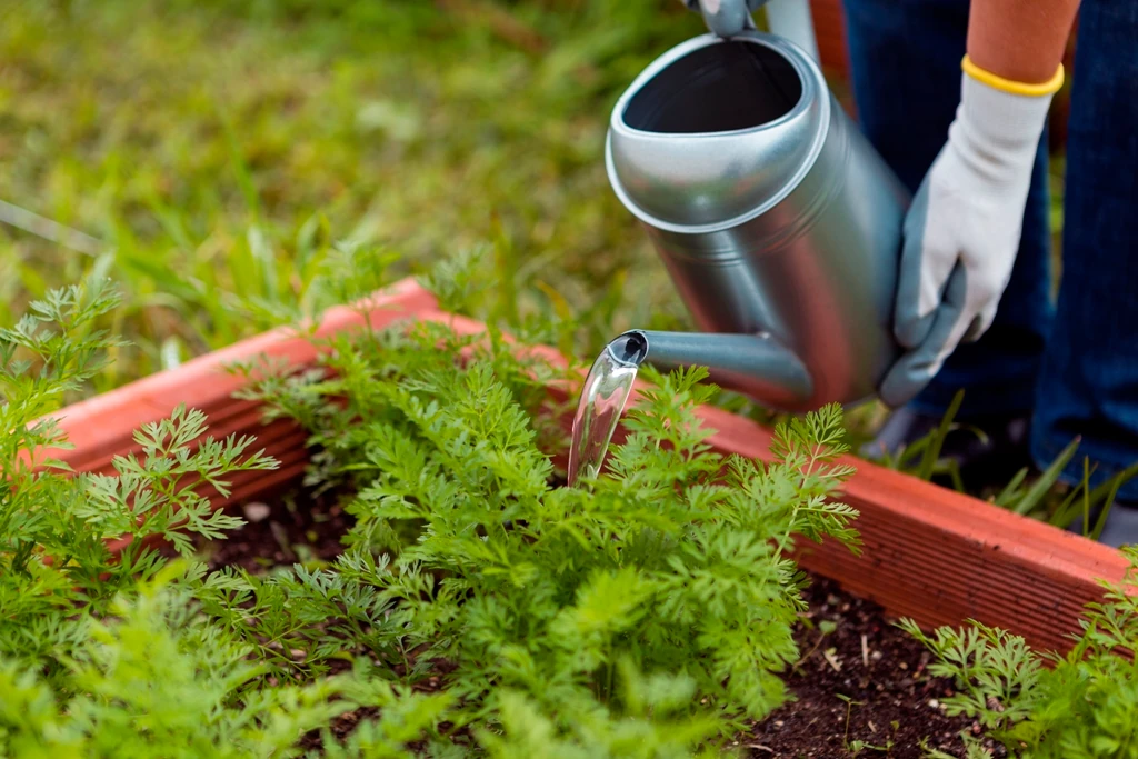 Green Gardening Sustainable Practices for a Lush Landscape