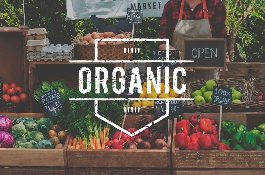 Important Superfoods Exploring Nutrient-Packed Dietary Heroes 2 - AamirWeb.com Important Superfoods Exploring Nutrient-Packed Dietary Heroes